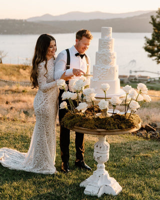 Classic lace wedding dress with long sleeves, deep V-neck, and ornate lace patterns, designed with a fitted style and sweeping train, ideal for luxurious and traditional weddings